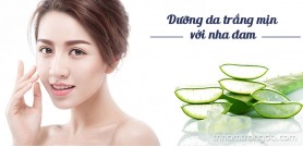 Dưỡng da trắng mịn với nha đam