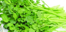 Cách trị nám da mặt bằng các loại rau