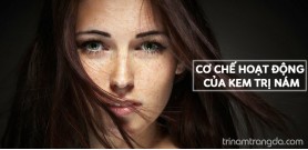 Cơ chế hoạt động của kem trị nám