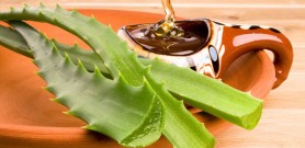 Nha đam trị nám da và tan nhang hiệu quả