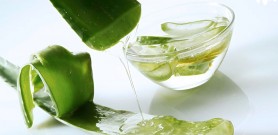 Tri nám bằng nha đam hiệu quả và an toàn