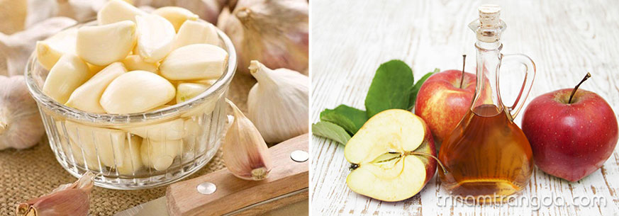 [Bí quyết làm đẹp] Tỏi - Thần dược làm đẹp cho da 1