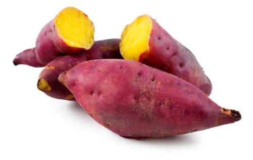 da-sang-dang-dep-nho-nhung-loai-cu-qua-mau-vang-cam-2