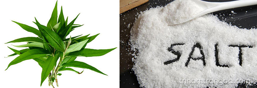Học cách làm mặt nạ trắng da từ rau răm 1