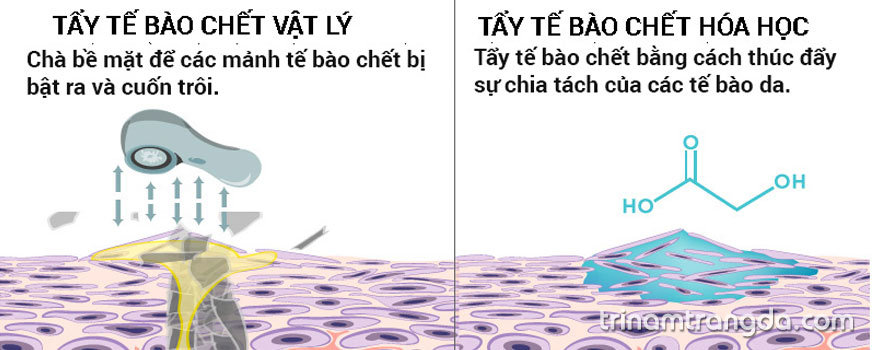 Làm thế nào để tẩy tế bào chết da mặt 1