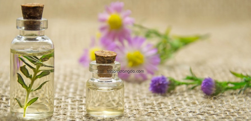 Phương pháp trị nám da tại nhà bằng kết hợp các loại tinh dầu