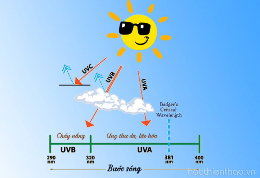 Nguy cơ nám da từ tia UV 1