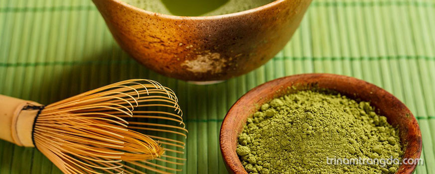 Những thành phần trị nám dưỡng trắng tốt cho làn da 5