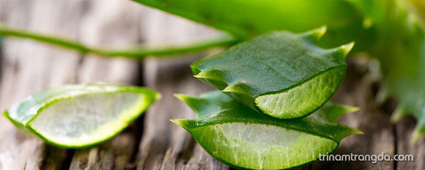 Những thành phần trị nám dưỡng trắng tốt cho làn da 6