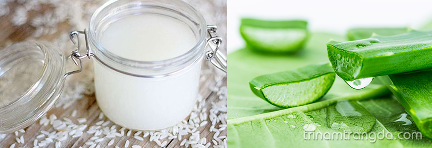 Công thức trị nám từ nước gạo và nha đam (lô hội)