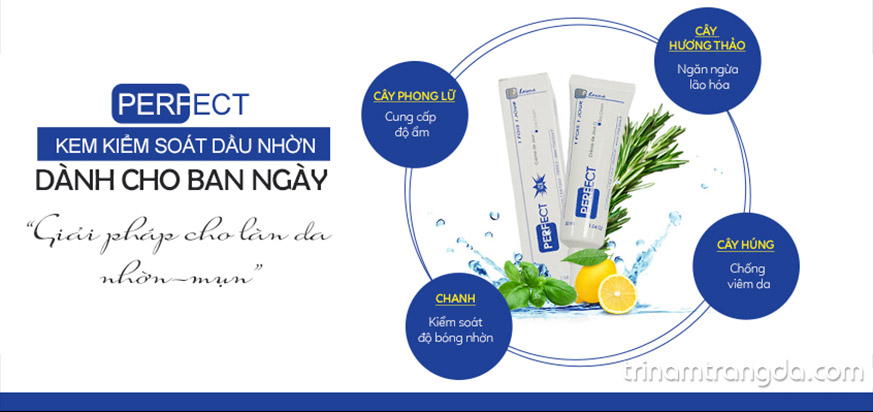 Da nhờn mụn nên dùng kem dưỡng da nào 3
