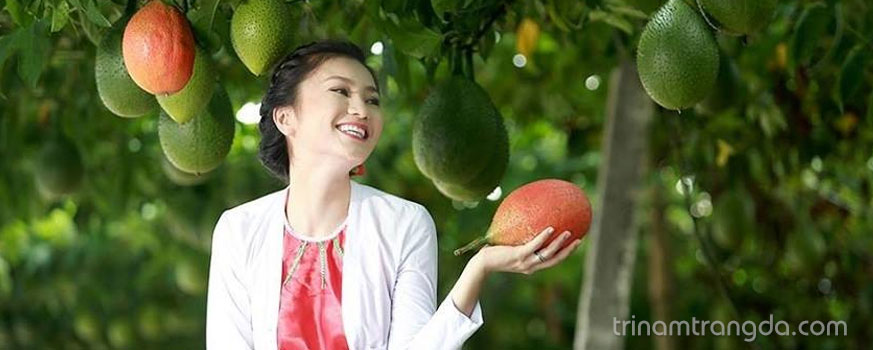 Tổng hợp các cách làm đẹp da với dầu gấc 1