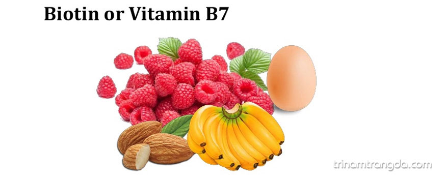 Top vitamin tốt cho da của phái đẹp 4
