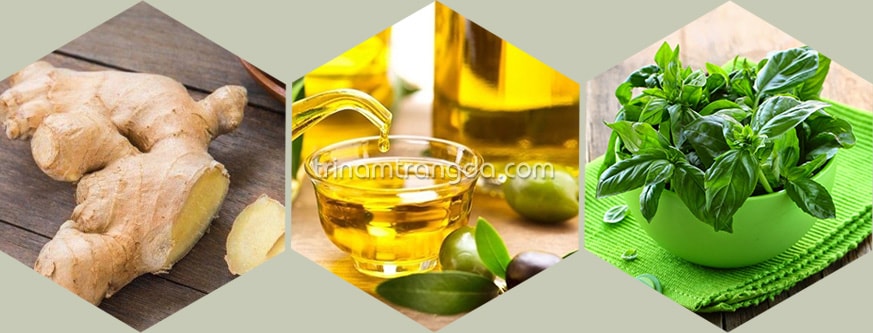 Rau húng quế, dầu oliu và gừng chống rụng tóc