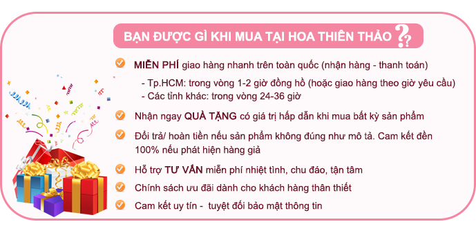 thong-tin-lien-he-cong-ty-hoa-thien-thao-2