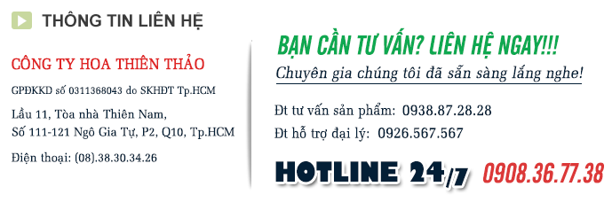 thong-tin-lien-he-cong-ty-hoa-thien-thao-1